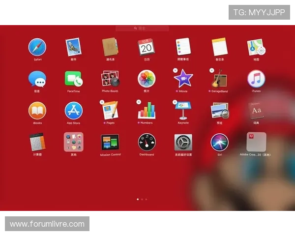 必赢在线登录操作指南，详细步骤帮助新手快速上手使用